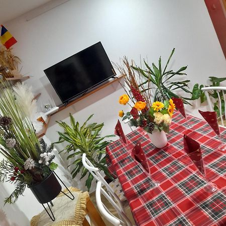 Apartment Boulevard Cetate 알바루리아 외부 사진