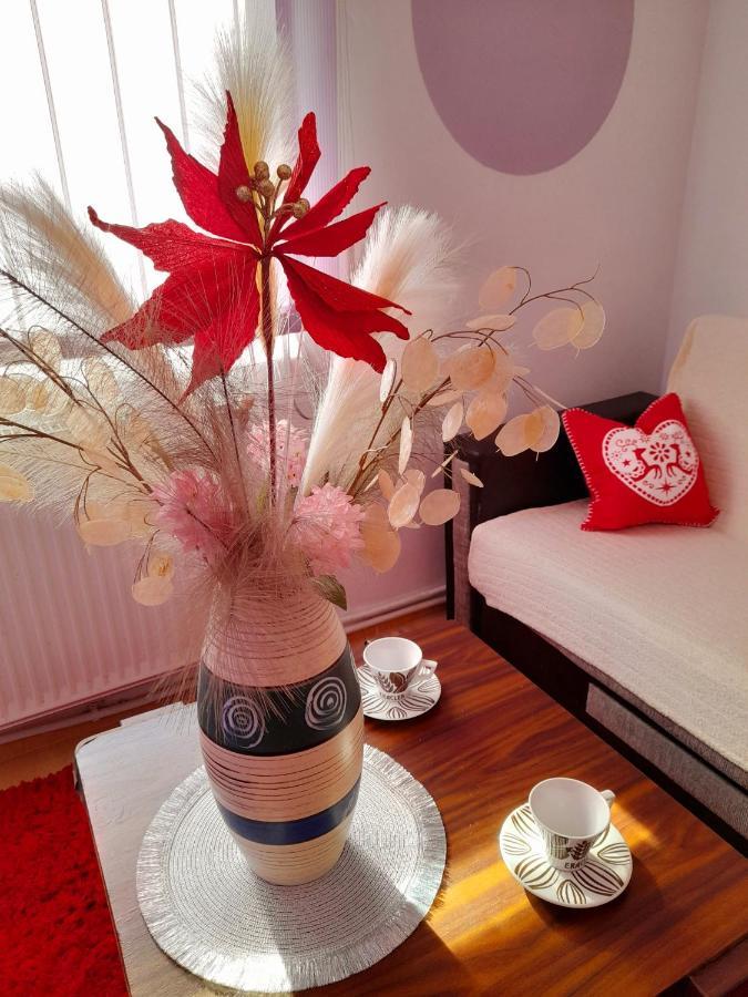 Apartment Boulevard Cetate 알바루리아 외부 사진