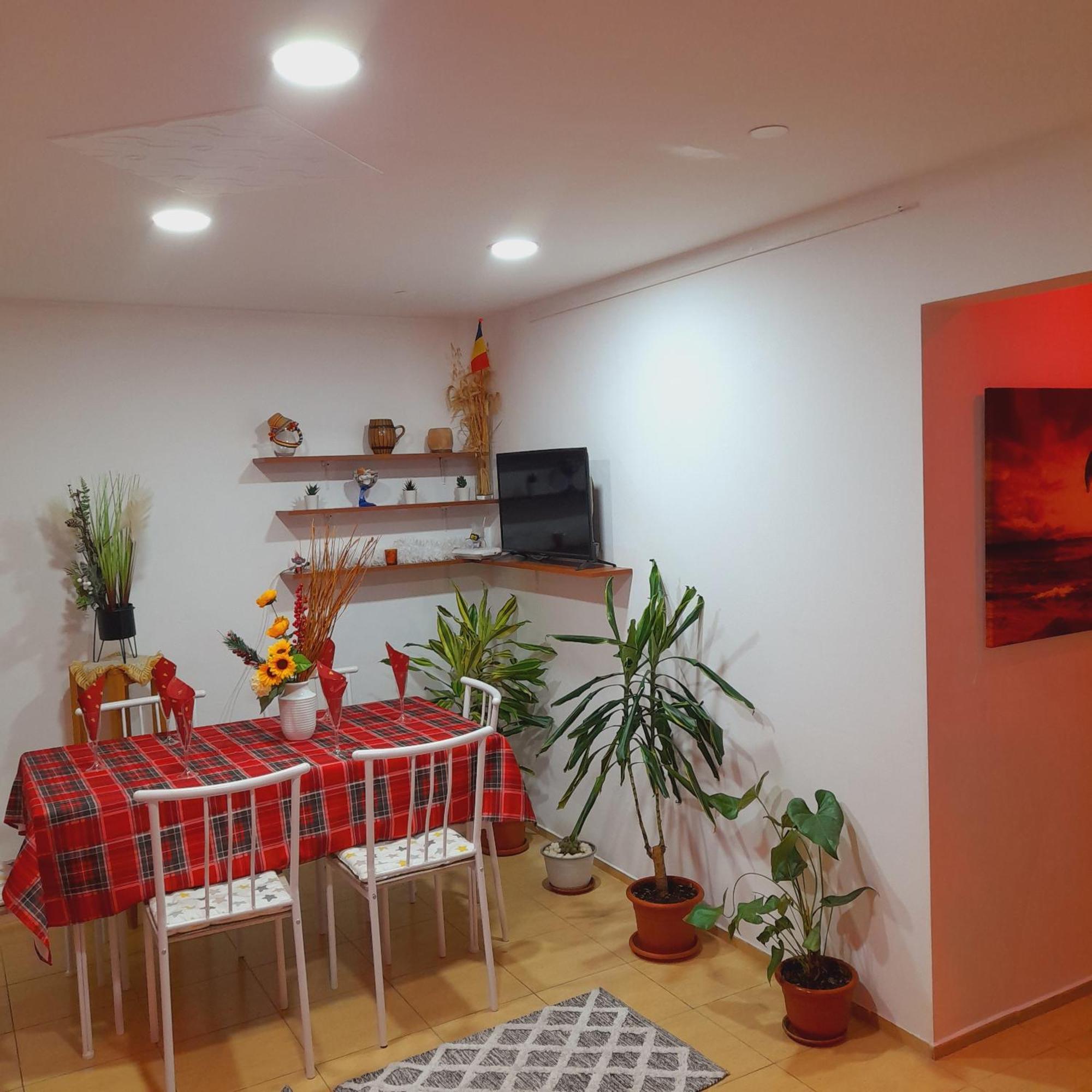 Apartment Boulevard Cetate 알바루리아 객실 사진