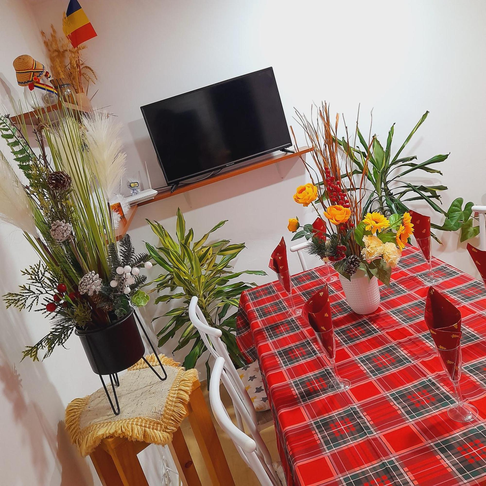 Apartment Boulevard Cetate 알바루리아 객실 사진